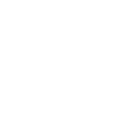 We Clean Your Yard 